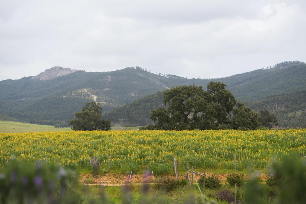 Herdade Do Amarelo Nature & Spa Vila Nova de Milfontes Dış mekan fotoğraf